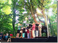 Sunny Court Music Festival